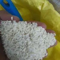 برنج عنبربو