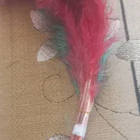 پرشتر مرغ از ۳۰سانت تا ۶۰   ۷۰ سانتی موجود است