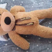 عروسک خرس شاسخین