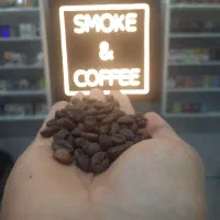 پخش عمده قهوه فولادشهر