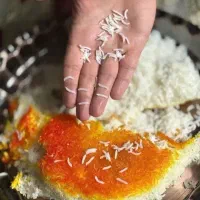 برنج تایلندی به قیمت دولتی