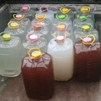 تولید و پخش ابغوره و س رک ه س ی ب ارسال از کاشان