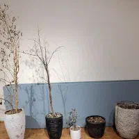 گلدون و باکس اداری و گل