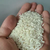 برنج زرددم