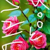 فروش سیم کارت ۹۱۲