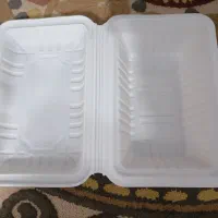 250تا ظرف یکبارمصرف گیاهی