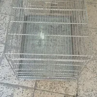 قفس پرون غلامی در حدنو