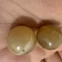 مهره سلیمانی قدیمی
