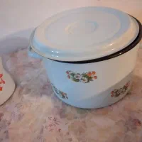 ظروف لعابی