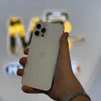 12promax نقداقساط چکی وحقوق بگیران تامین اجتماعی‌