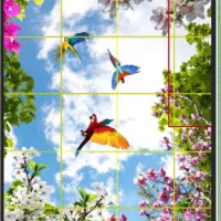 گم کردن کیف مدارک زنانه داخل بازار