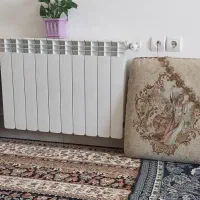 تک پشتی در حد نو