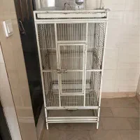 قفس کاسکو طوطی بزرگ ایستاده