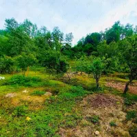 240-متر-زمین-ویلایی-سند-تکبرگ