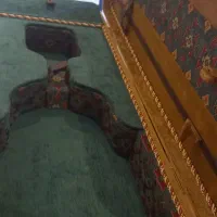 کیس ویولا