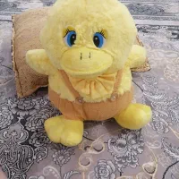عروسک زیبای جوجه