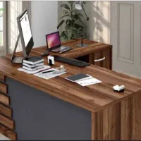 بازاریاب خانم