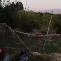 باغ-با-آب-جاری-دائمی