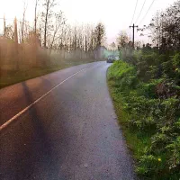 رودبنه، پهمدان بر آسفالت دونبش تجاری مسکونی و سند