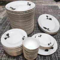 چینی زرین گل مشکی