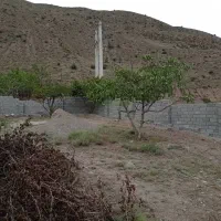 زمین ییلاقی نمارستاق امره ویو عالی بر جاده اصلی