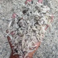 فروش تفاله چغندر بدون واسطه و پایین ترین قیمت کشور