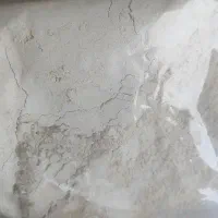 پودر جوانه گندم