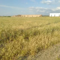 فروش-زمین-زراعی-دو-نبش-50-متری-اتوبان-مشکین-اهر