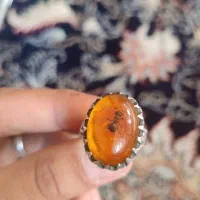 کهربا مهر دار قریشی