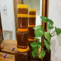 عسل اکالیپتوس خالص خالص عطر طعم بی‌نظیر