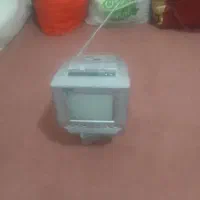 تلوزیون