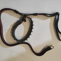 قلاده سگ