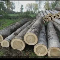 خریدار چوب باغی .صنعتی