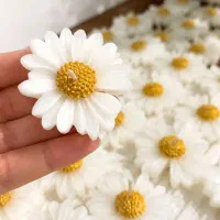شمع|صنایع دستی و سایر لوازم تزئینی|مینودشت, |دیوار