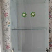 بوفه/کتابخانه دخترانه کشودار
