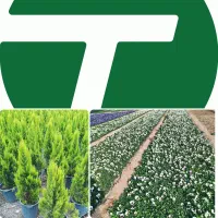 اقدامات گیاهی/باغچه‌کاری/گلوگلدان و فروش بقیمت