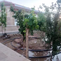 خونه باغ علی اباد شهرک مدیر