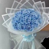 گل روبانی