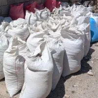 خریداری و جمع کردن کود فضله کبوتر کوهی شیروانی