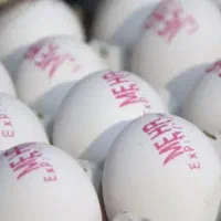 پخش تخم مرغ عمده تاریخ دار 12تومان وترشیجات..