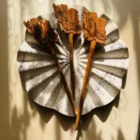 پین یا کانزاشی مو