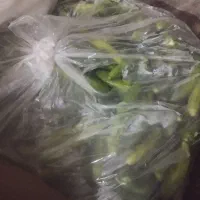 خیار بوته ای کیلویی 35هزار