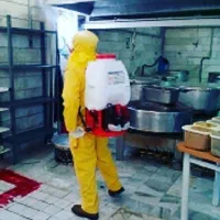 سمپاشی تخصص موریانه بید مورچه سوسک ساس موش