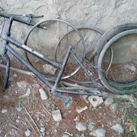 دوچرخه|دوچرخه، اسکیت، اسکوتر|گلبهار, شهر جدید گلبهار|دیوار