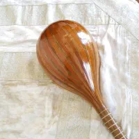 جذب نوازنده سه تار و تار و کمانچه