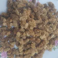توت خیلی تمیز وخوشمزه