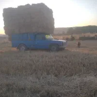خرید و فروش کاه و کلش