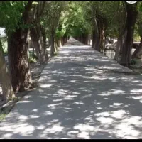 زمین باغ چهاردیواری اصفهانک بر اصلی کوچه درختی دوم