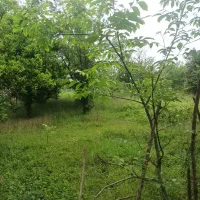زمین در سقلکسار دور دیوار شده ۱۴۰ مسکونی