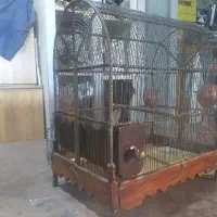 قفس سهره قدیمی